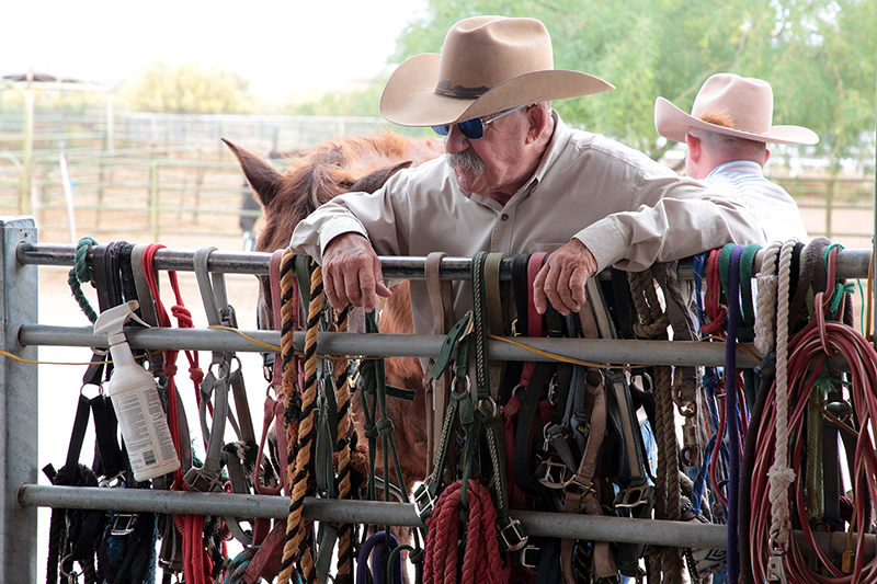 Arizona Cowboy College : Arizona : Richard Moore : Photographer